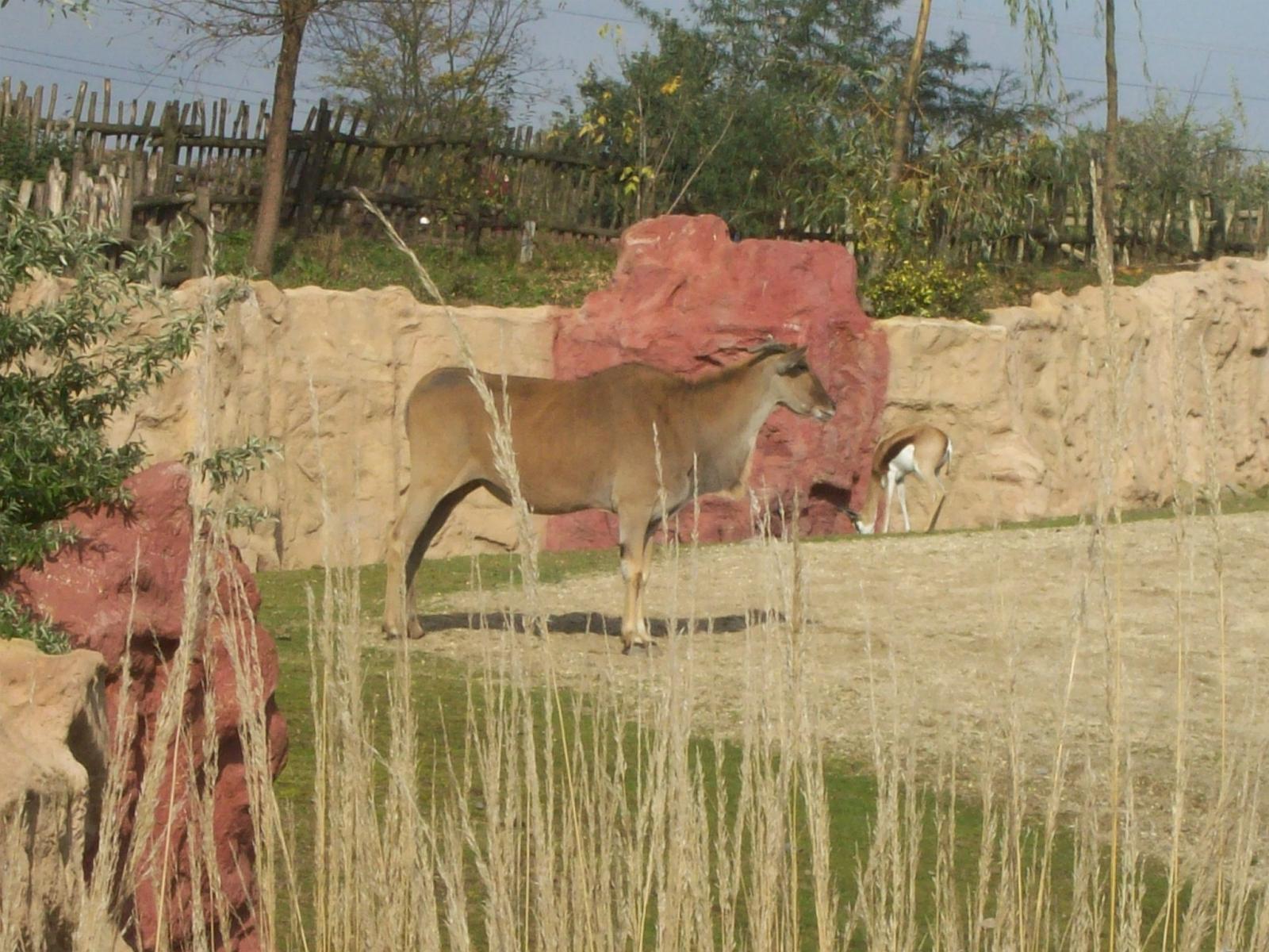Zoom 18.10.2008-077.jpg